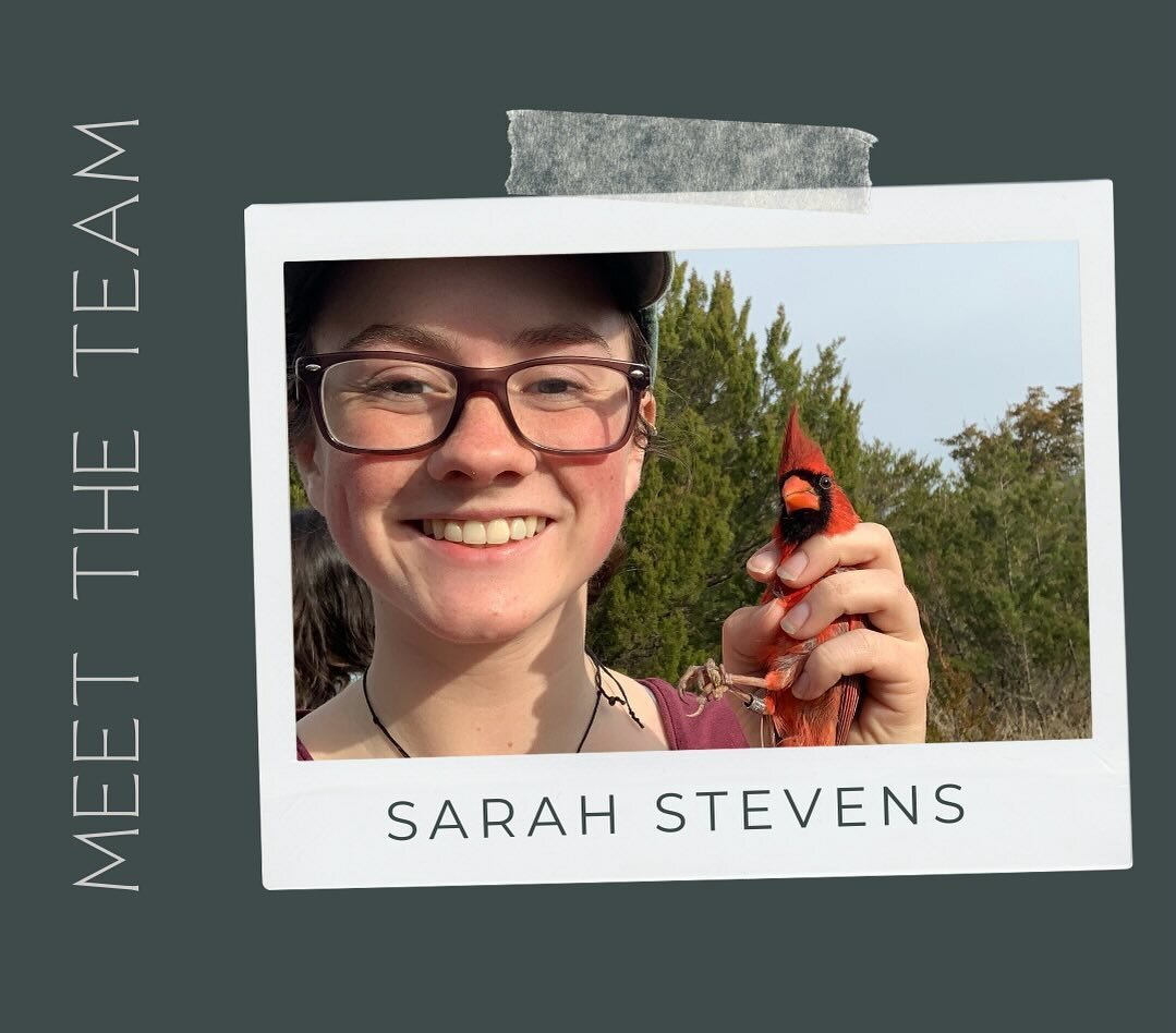 #teammembertuesday is back! Today we&rsquo;re highlighting Sarah S! She&rsquo;s our migration banding intern this spring. She is learning about ageing and sexing birds, repairing mist nets, and so much more! We are thankful to have her help on those 