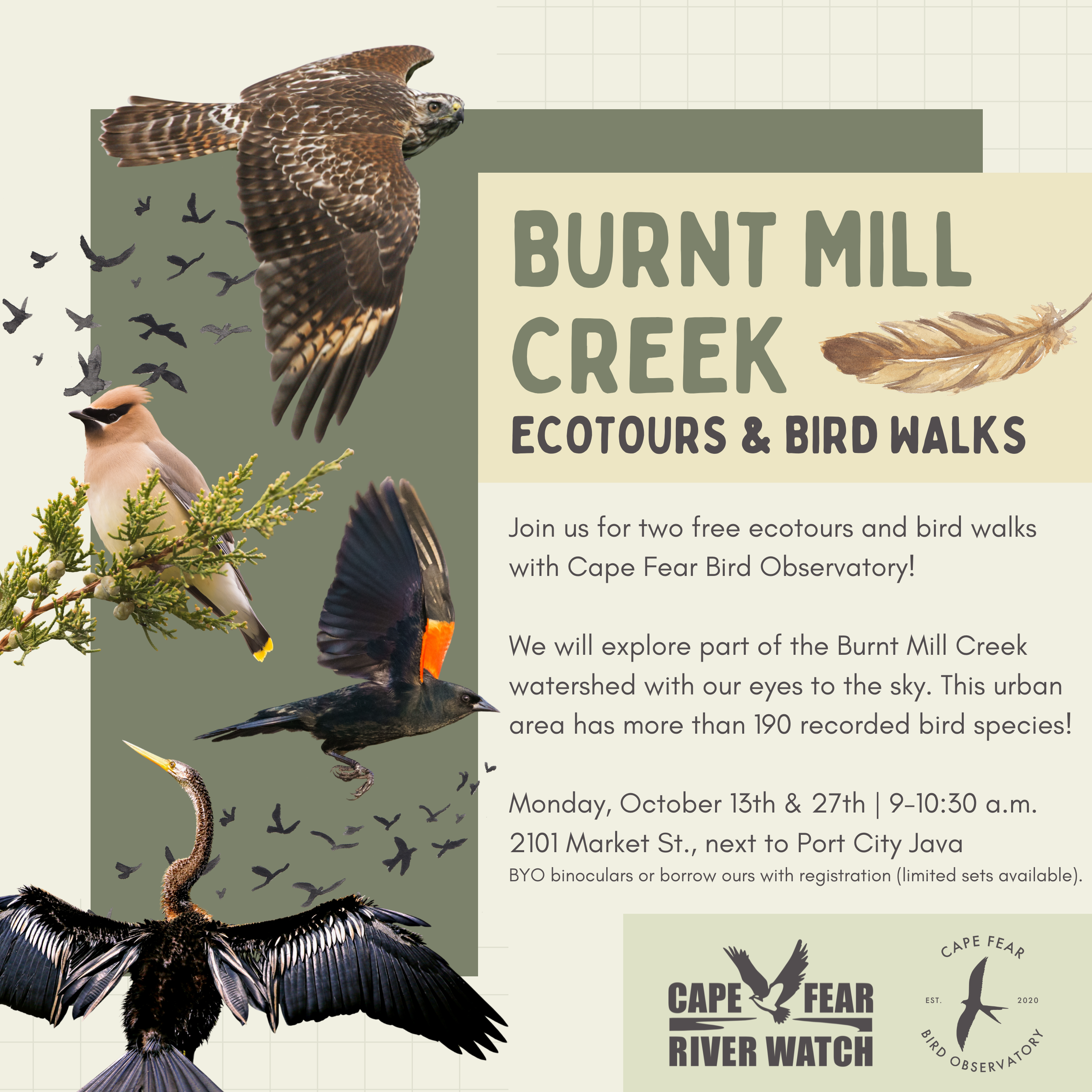 Burnt Mill Creek Eco Bird Walk with Cape Fear River Watch