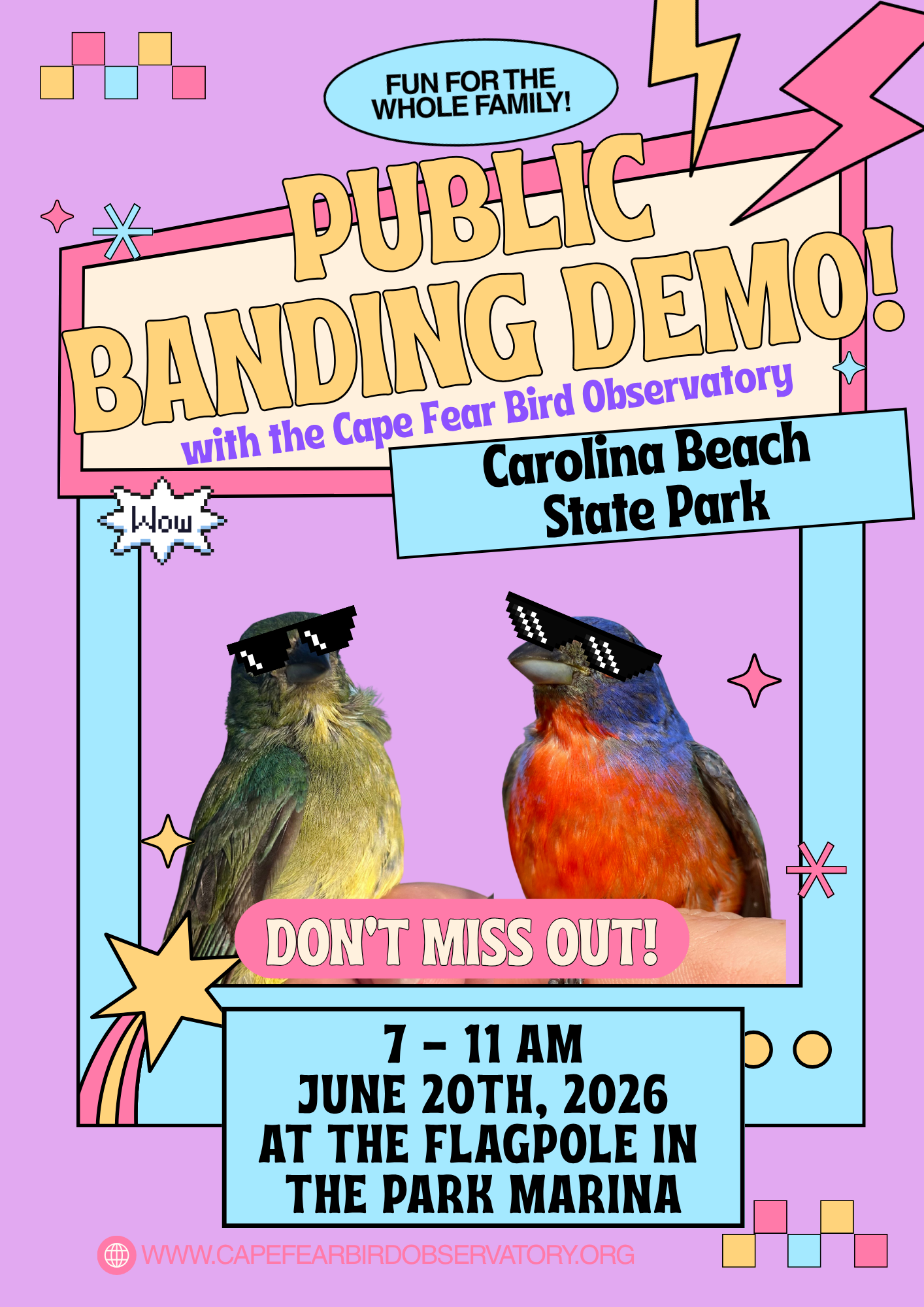Painted Bunting Banding Demo - Carolina Beach State Park