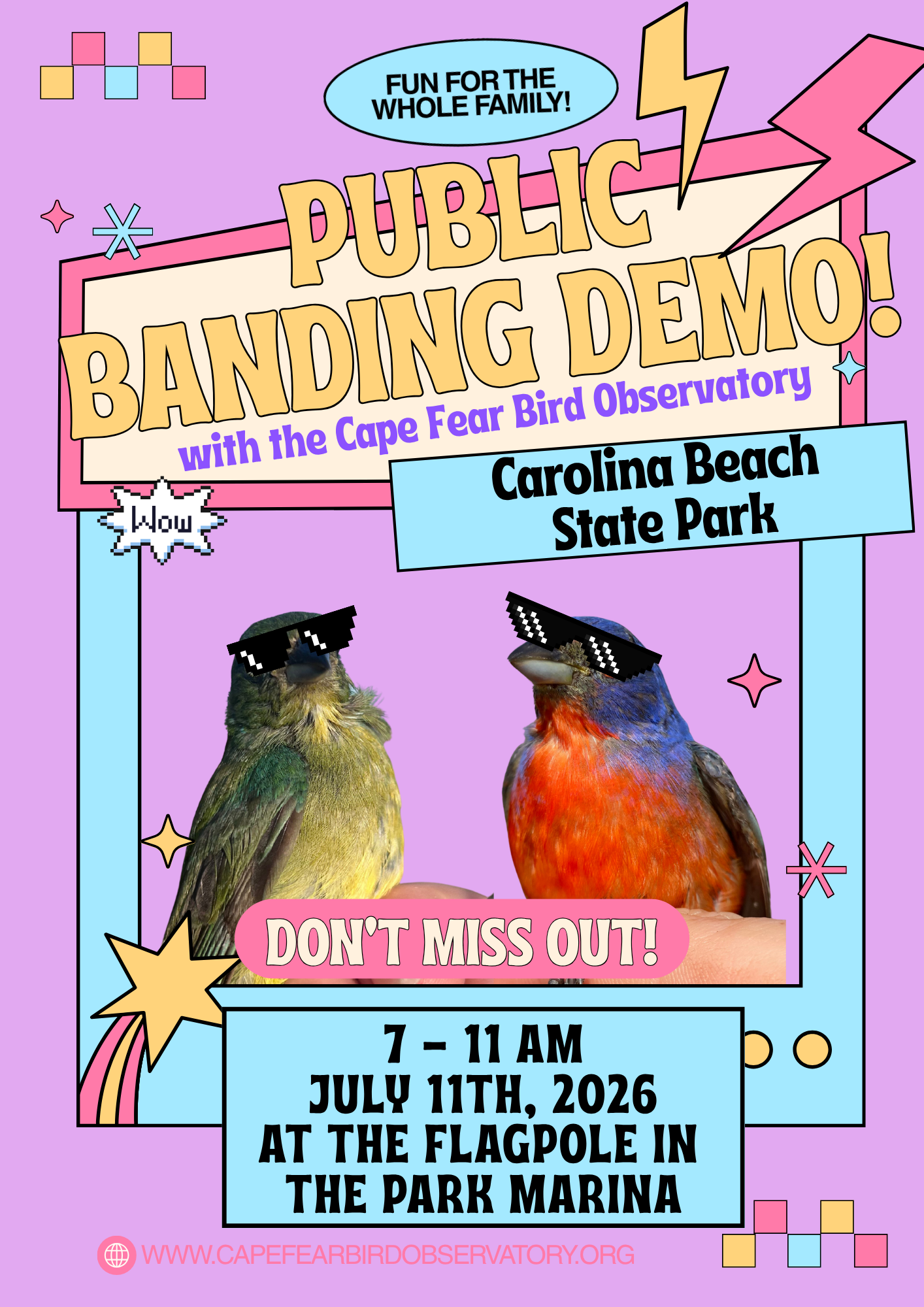 Painted Bunting Banding Demo - Carolina Beach State Park