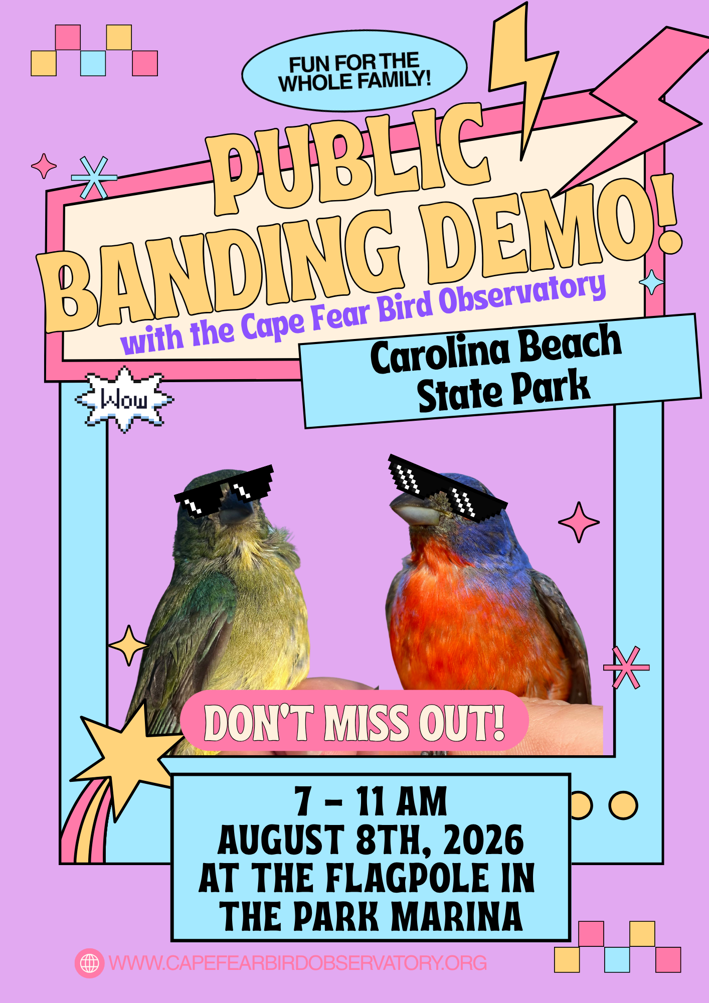 Painted Bunting Banding Demo - Carolina Beach State Park