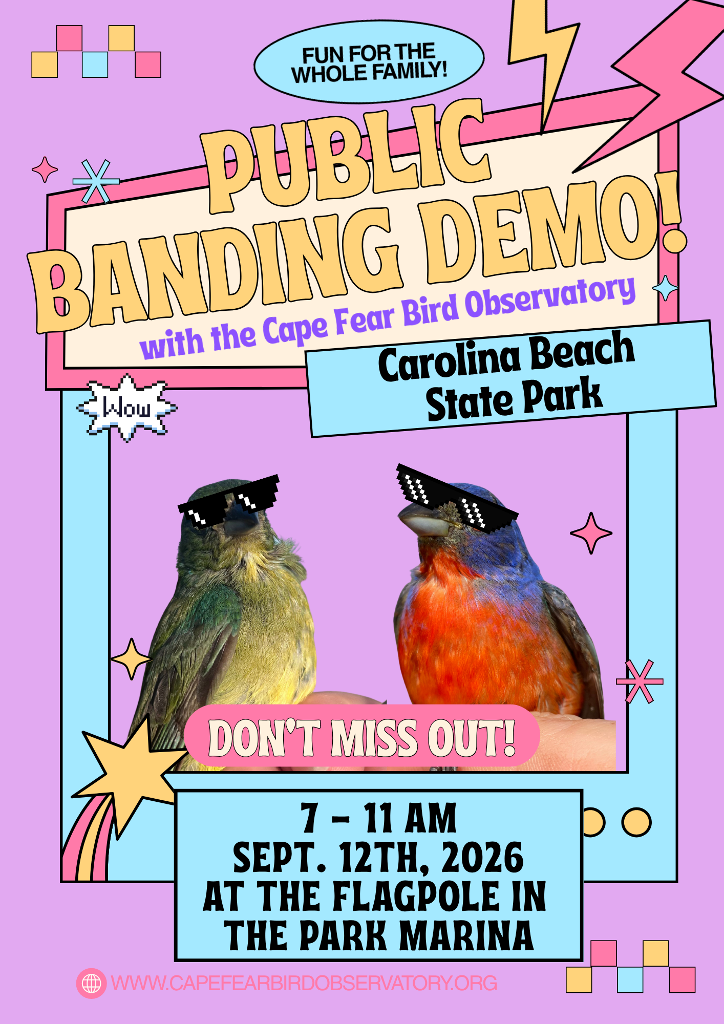 Painted Bunting Banding Demo - Carolina Beach State Park