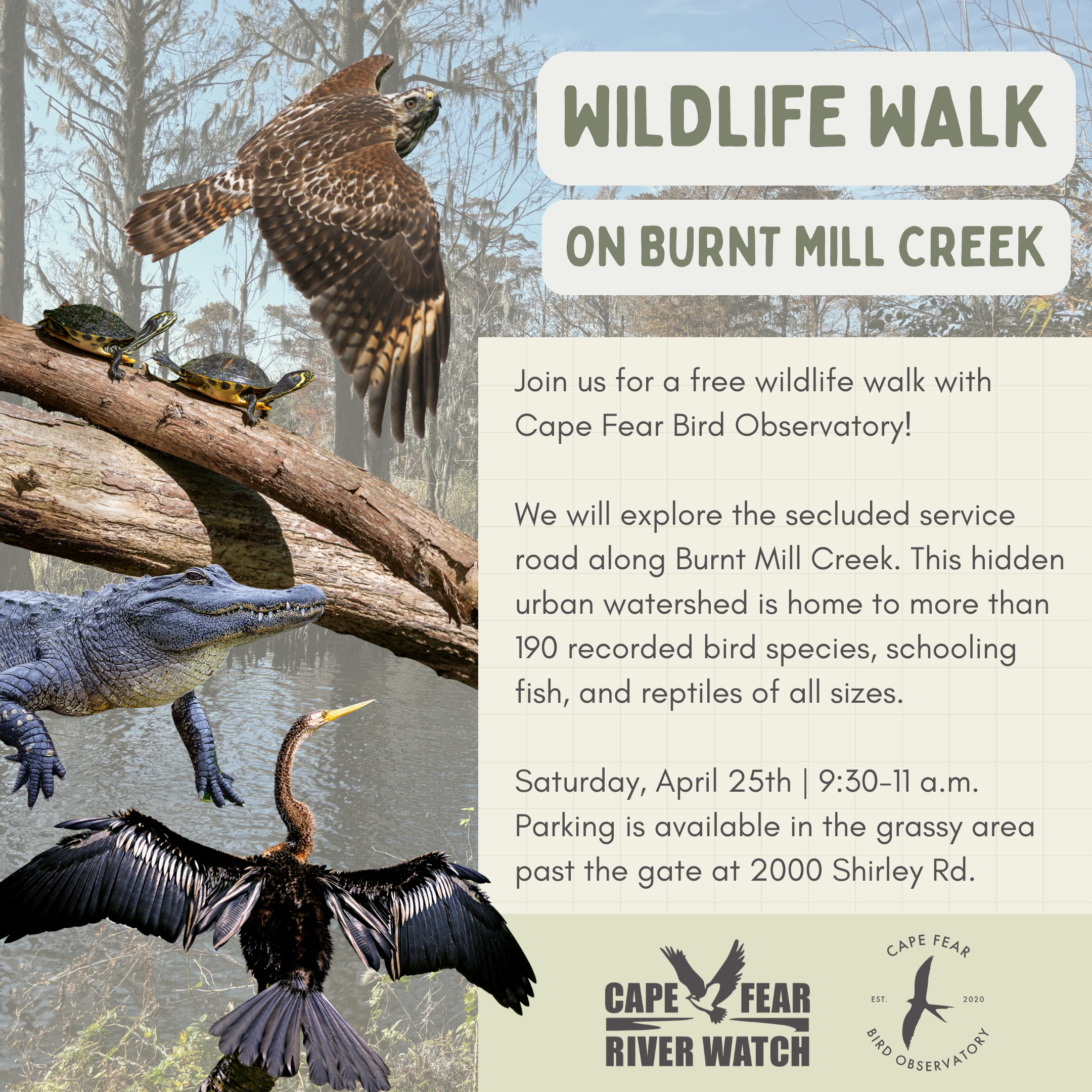 Wildlife Walk with Cape Fear River Watch!