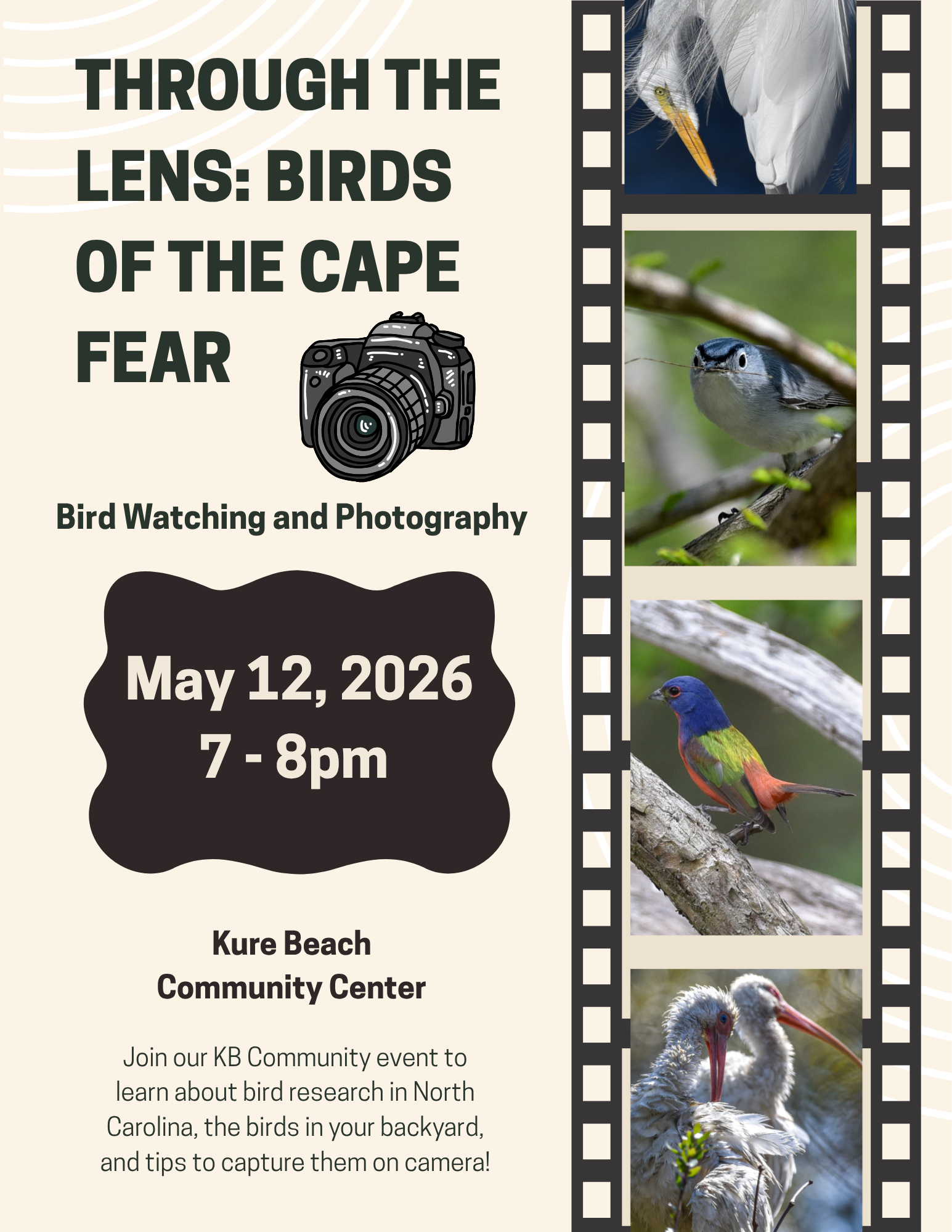 Through the Lens: Birds of the Cape Fear