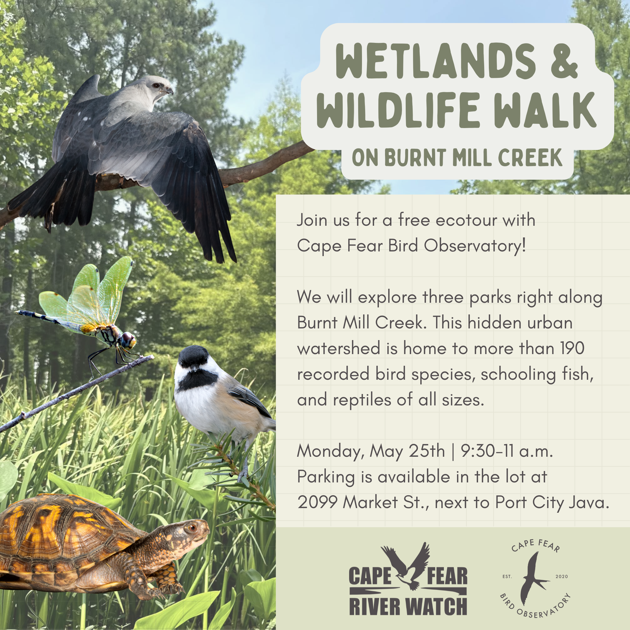 Wildlife Walk with Cape Fear River Watch!