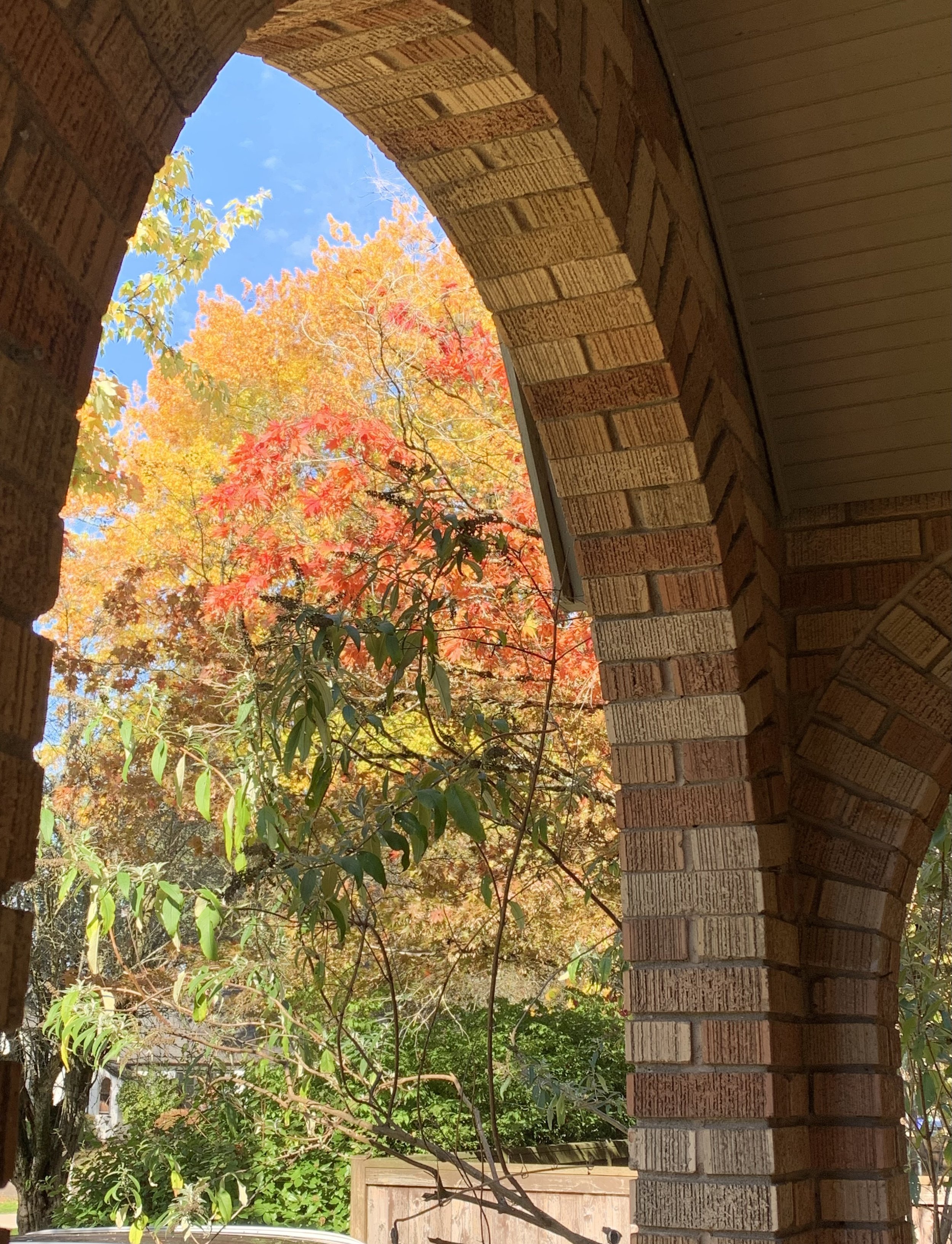 arches