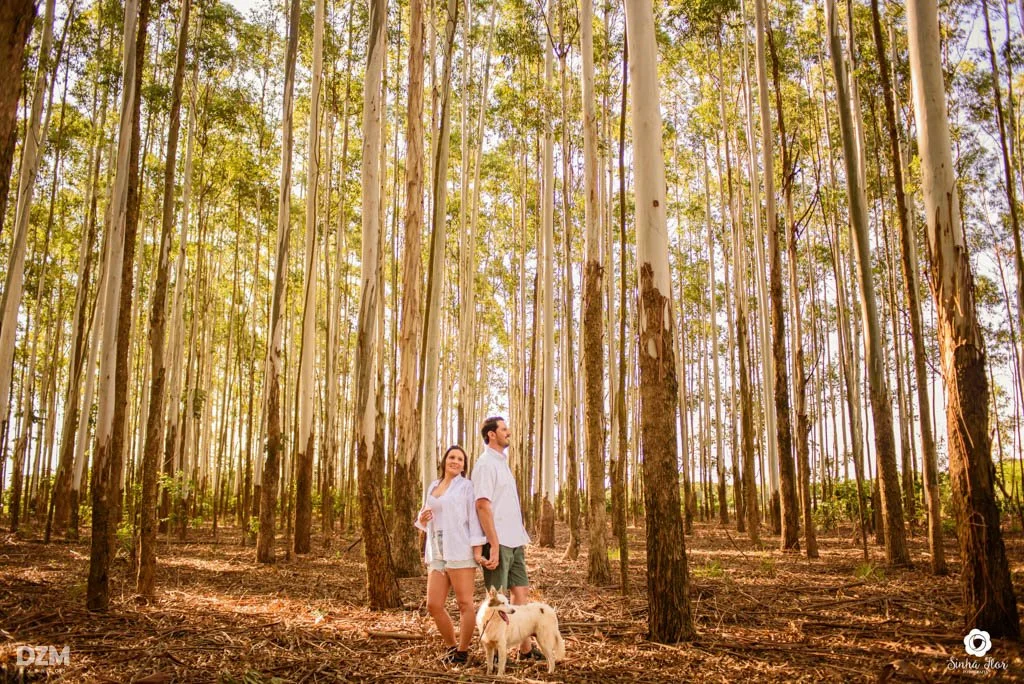 Love Session |Emily + Ricardo