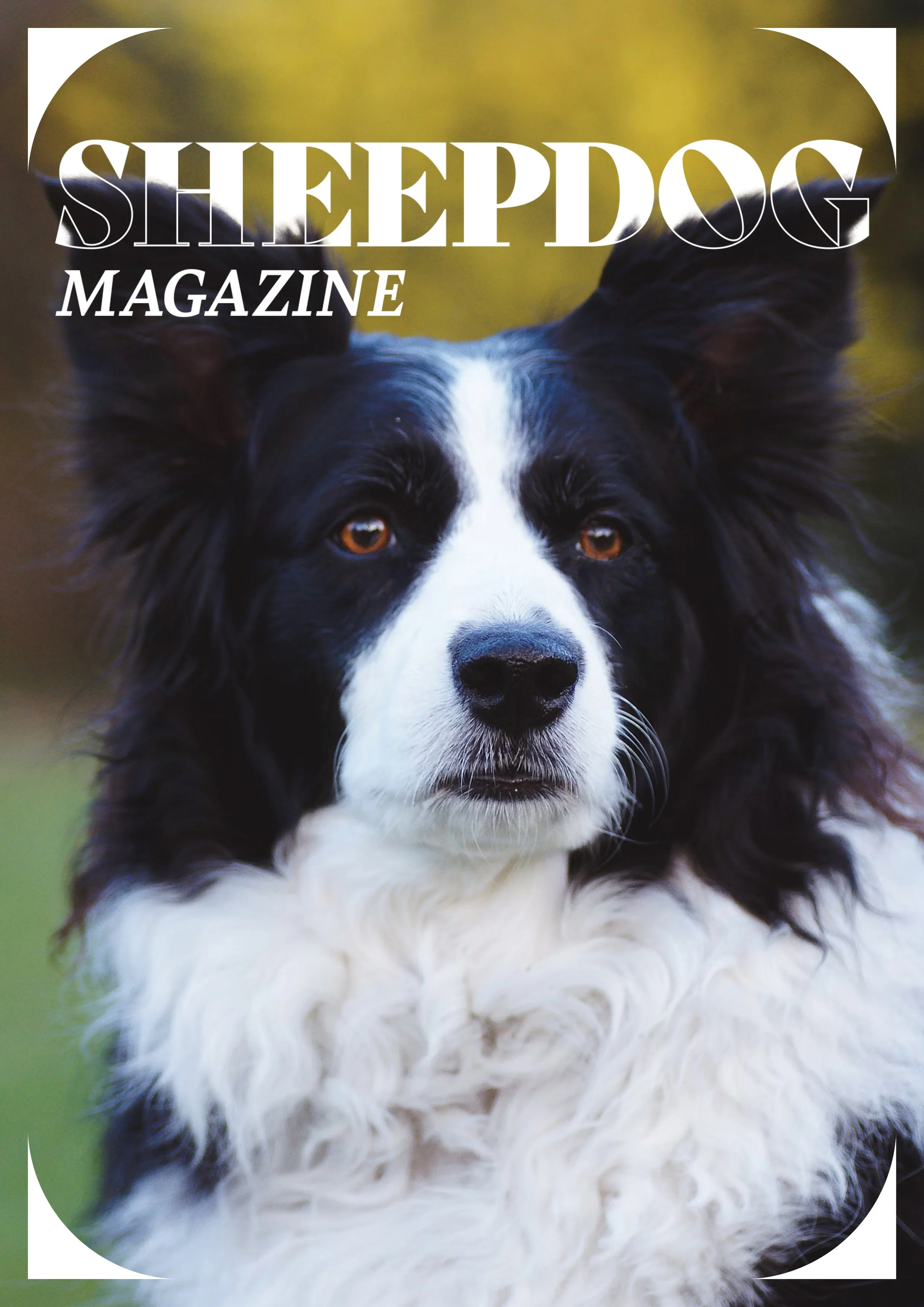Sheepdog Magazine Issue 1.jpg