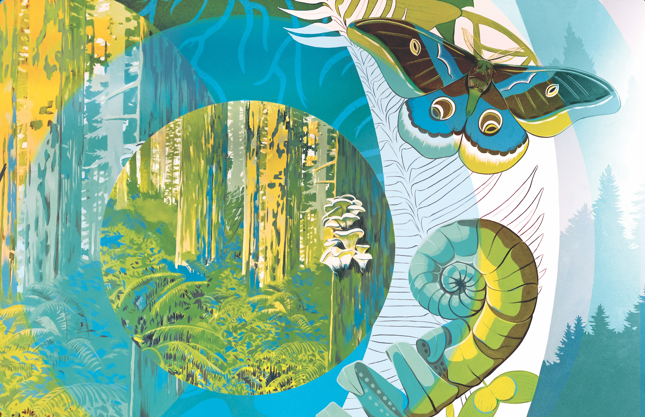 Living Forest Print
