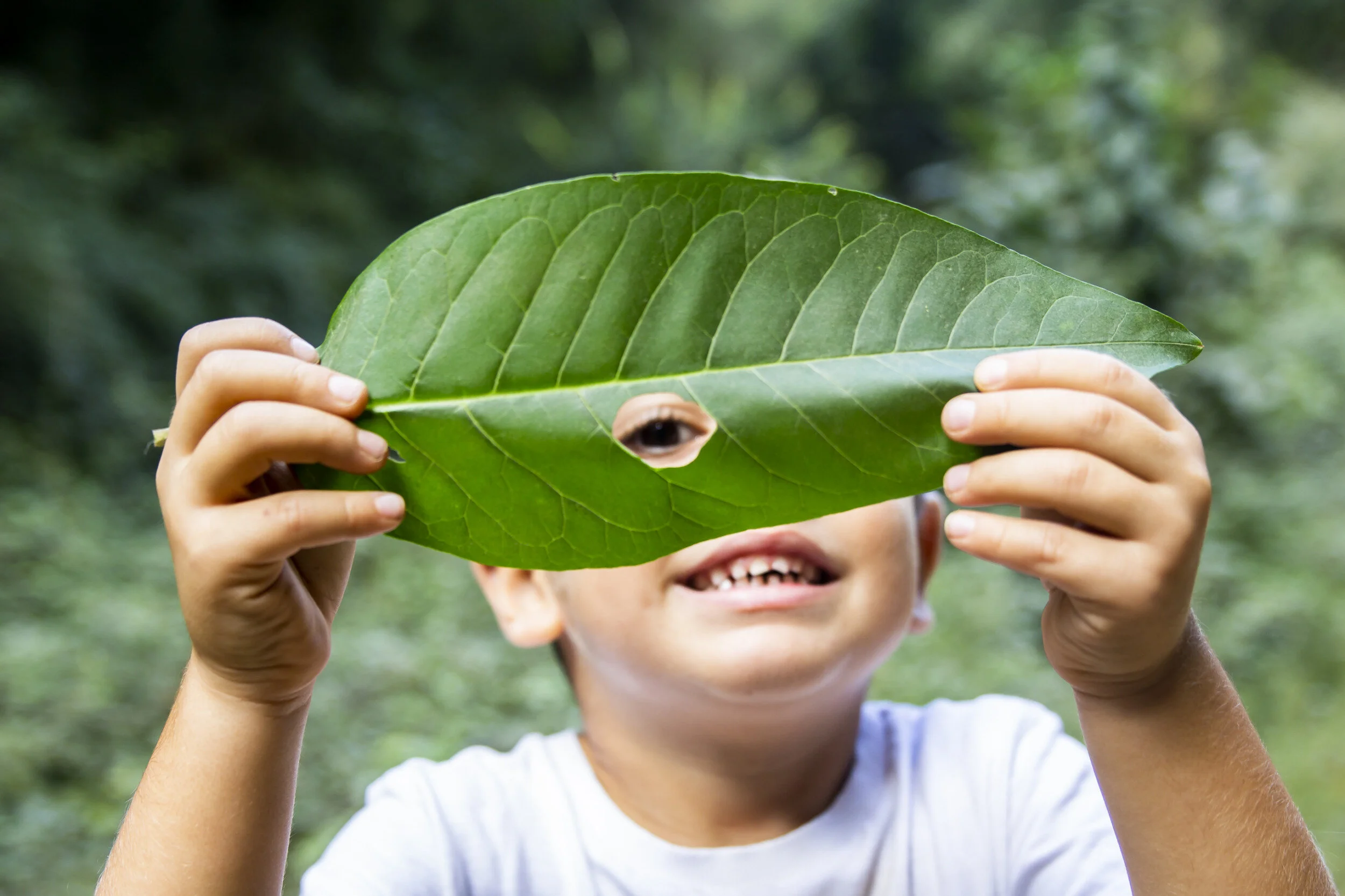 leaf kid.jpg