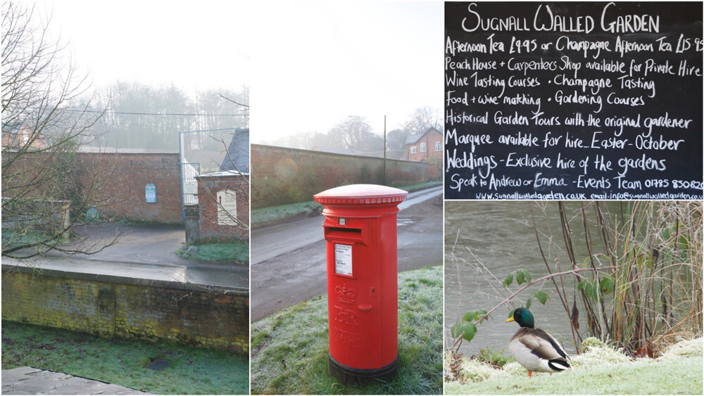 An image collage of Sugnall Walled Garden