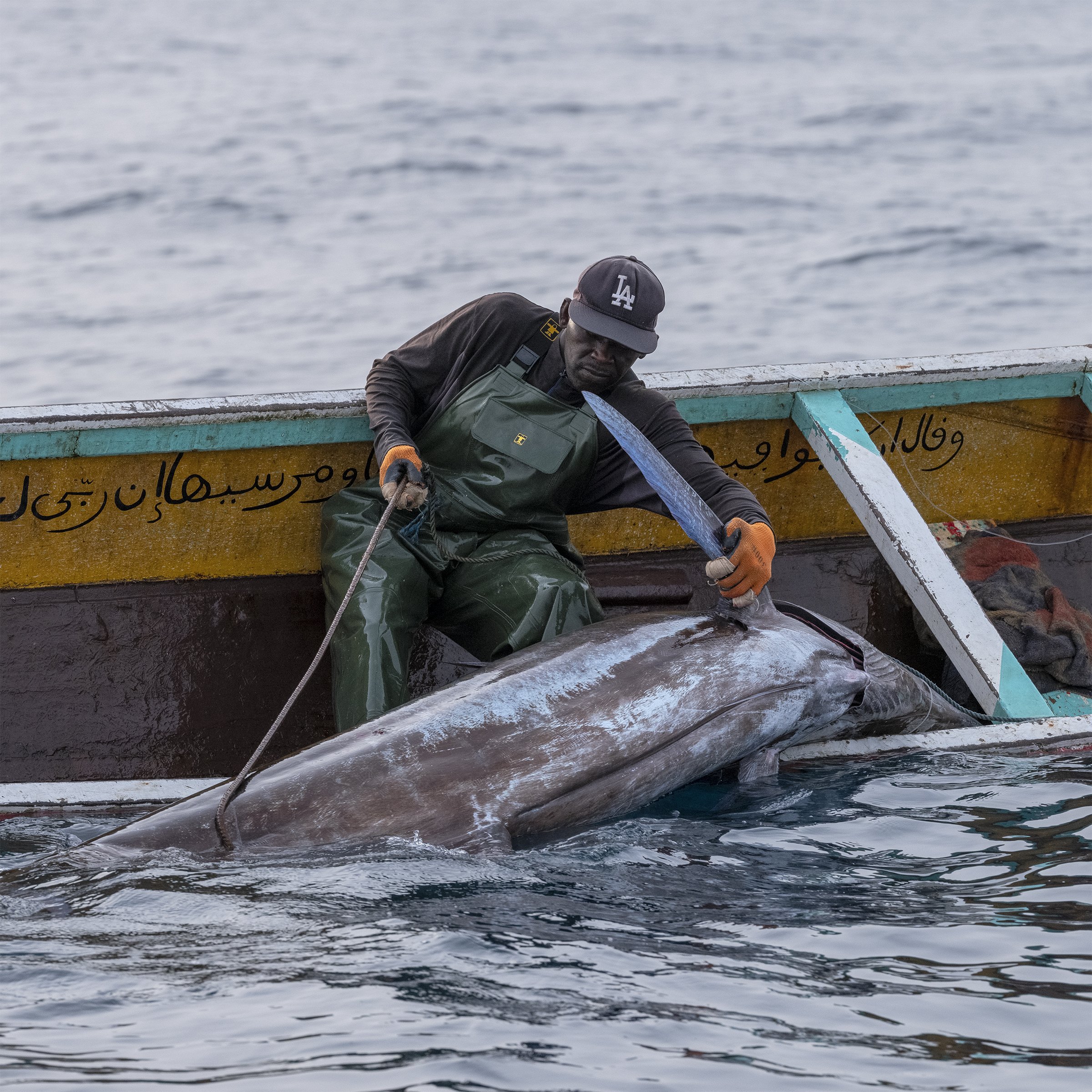 A ONCE ABUNDANT SEA -
For centuries, the coastal waters of Senegal teemed with life of all sorts and sizes. Lebou fishermen enjoyed decent livelihoods. The sea was a source of abundance and ensured a large part of Senegal’s food security
