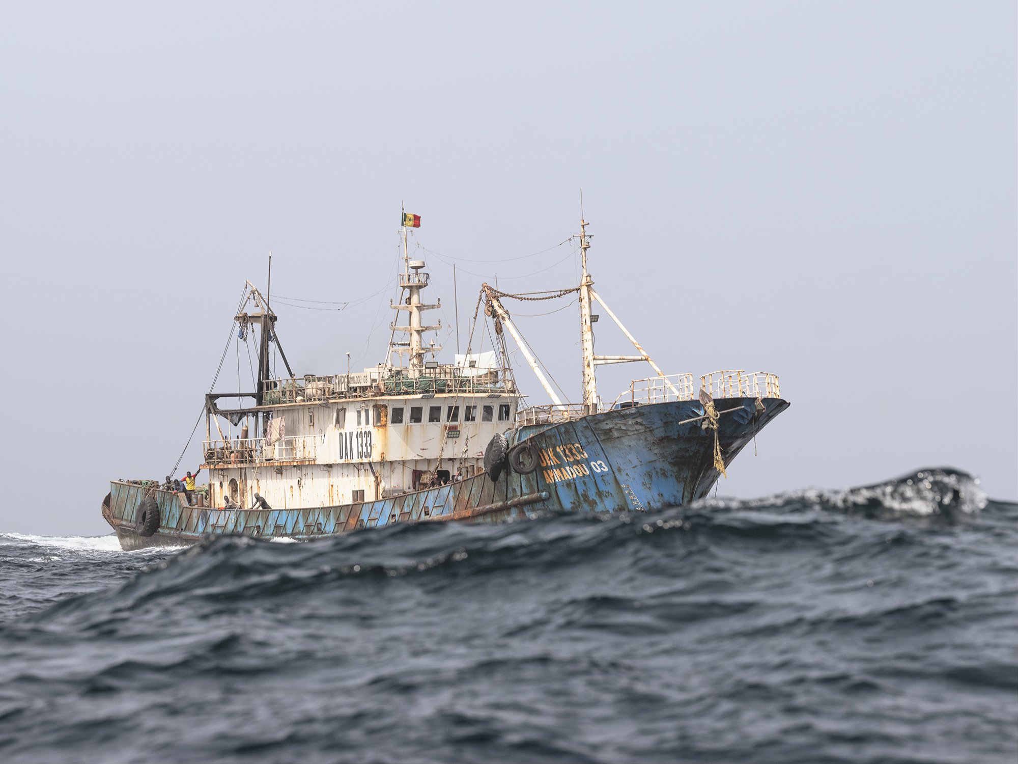 NATIONAL AND FOREIGN TRAWLERS FEED AN EVER GROWING FISH EXPORT MARKET -
Global demand for fish products, including fish meal and fish oil, has triggered a booming fish export market and attracted many foreign trawlers. Trawlers belonging to distant
