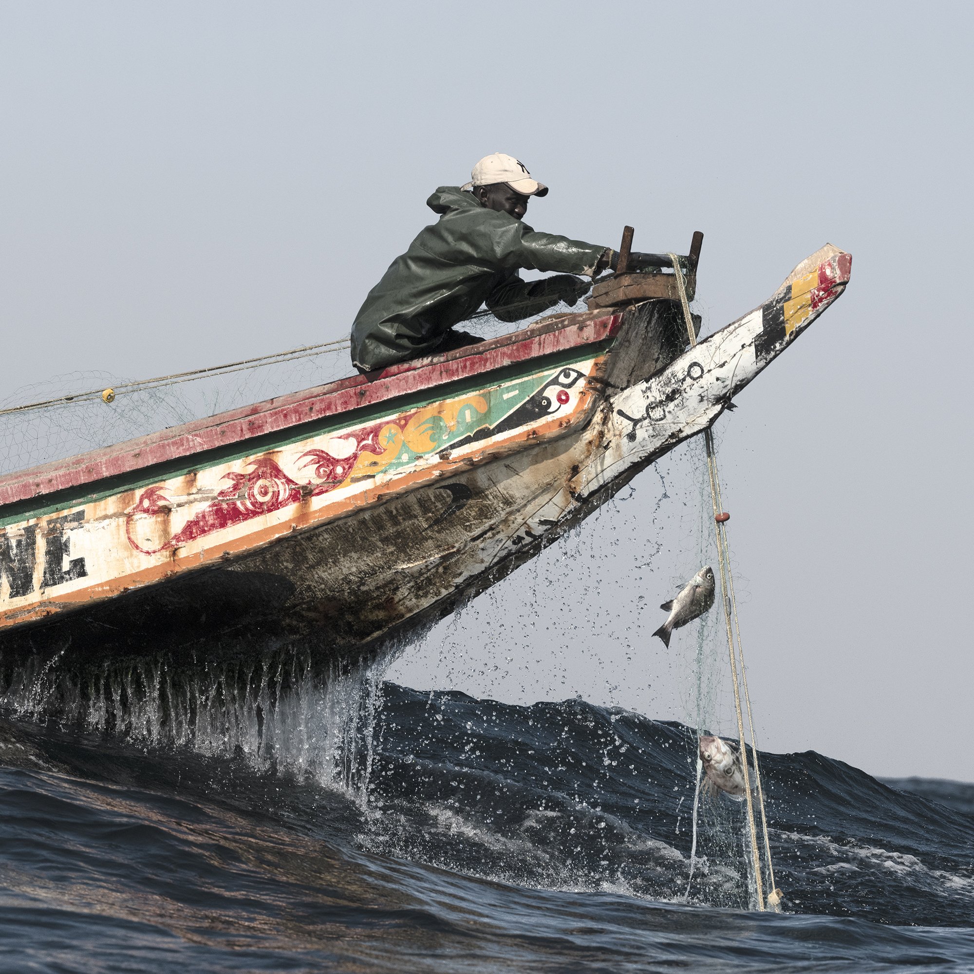 THE DYING SEA -
The profusion of marine life in this part of the Atlantic ocean seemed limitless. Unfortunately, today, fishing nets barely bring back enough fish to feed Lebou households. Fish stocks have dramatically plummeted, due to decades of o