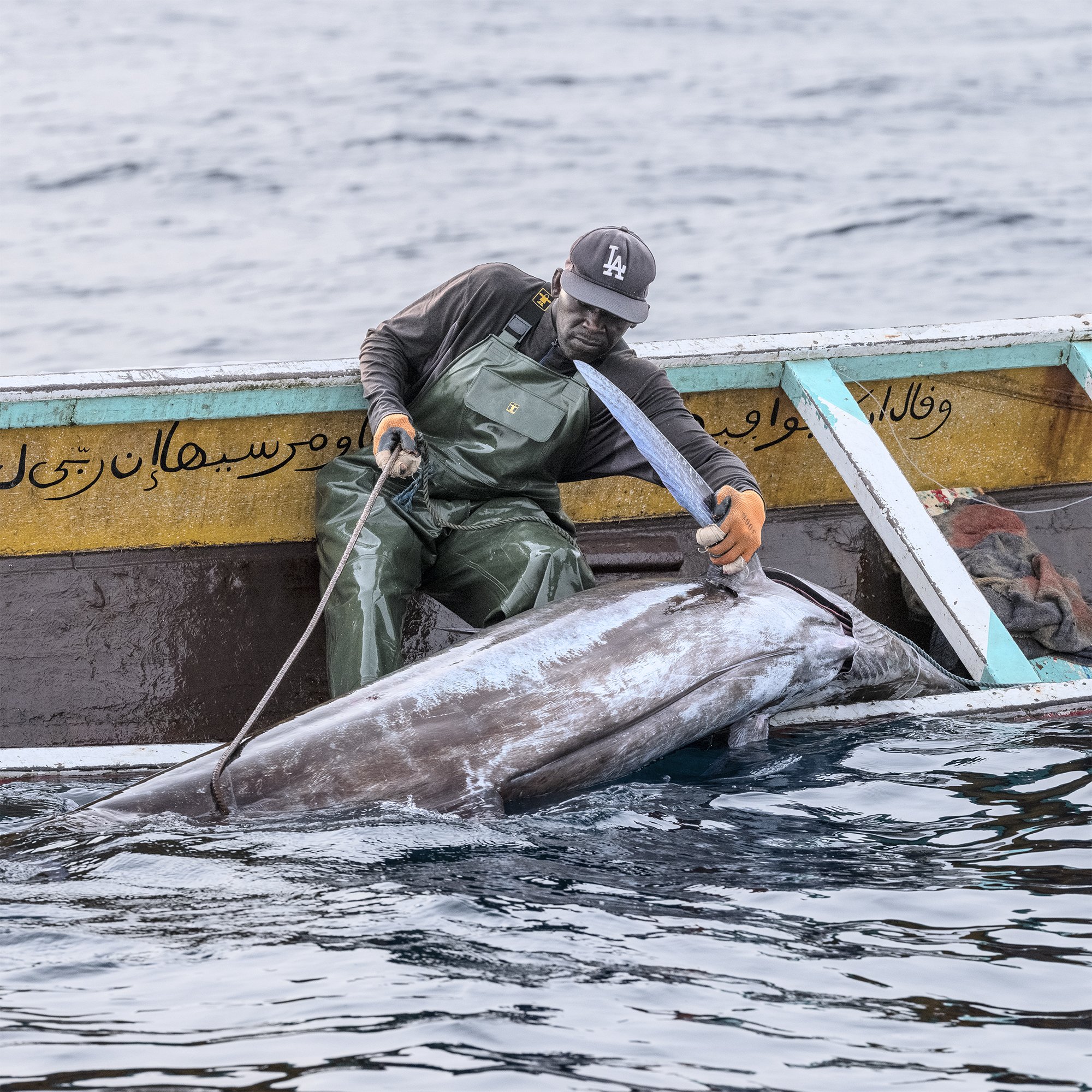 A ONCE ABUNDANT SEA -
For centuries, the coastal waters of Senegal have teemed with life of all sorts and sizes. Lebou fishermen enjoyed decent livelihoods. The sea was a source of abundance and ensured a large part of Senegal’s food security
