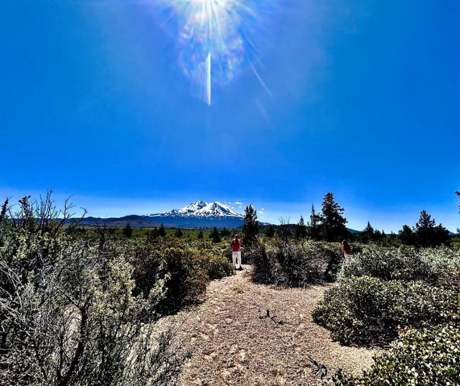 Mount Shasta California-Wild Wellness Retreats8.png