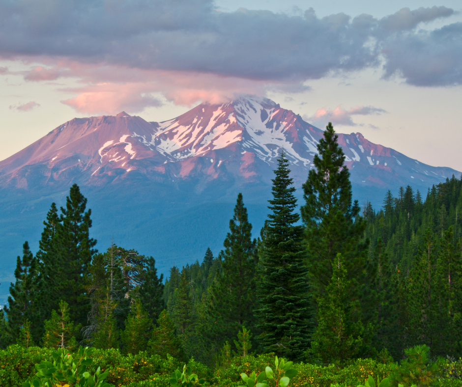 Mount Shasta California-Wild Wellness Retreats55999.png