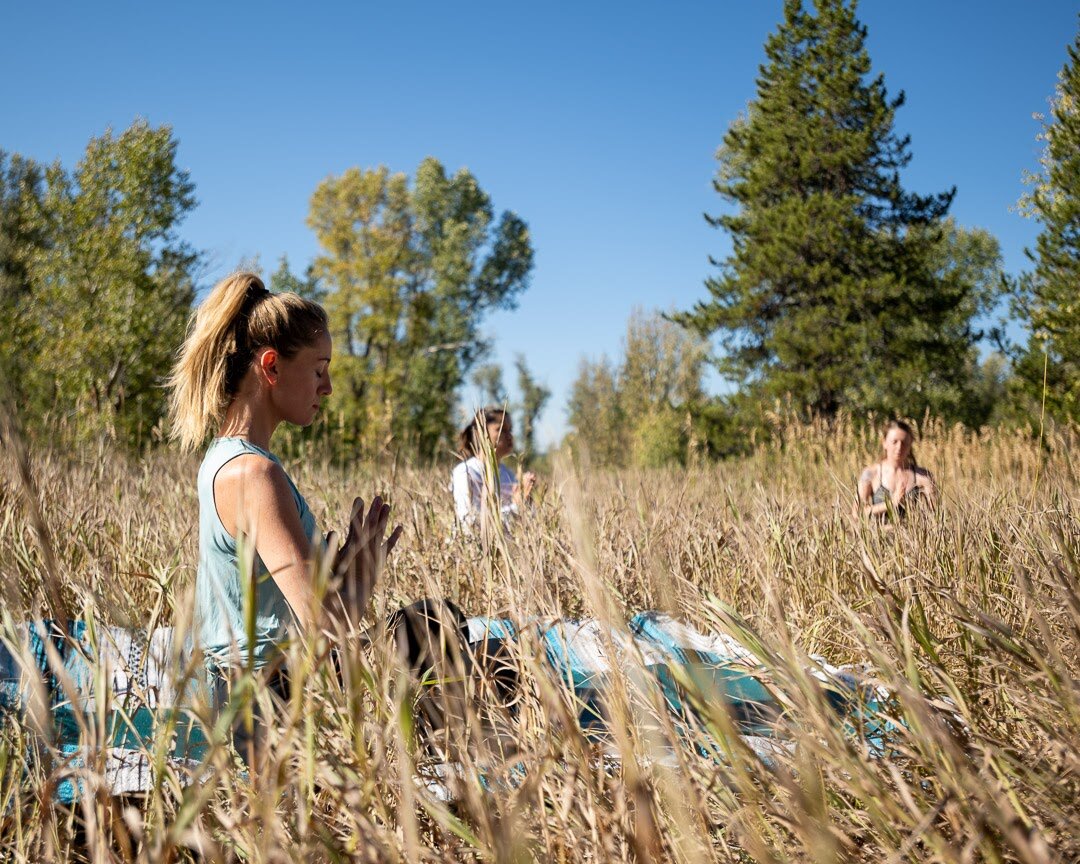 Group of girls practicing yoga outdoors in a grassy field with trees and a clear blue sky.