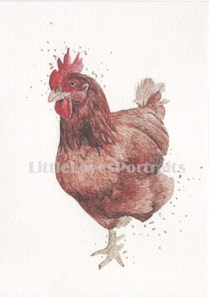 Chicken Watercolour Print "Minnie"