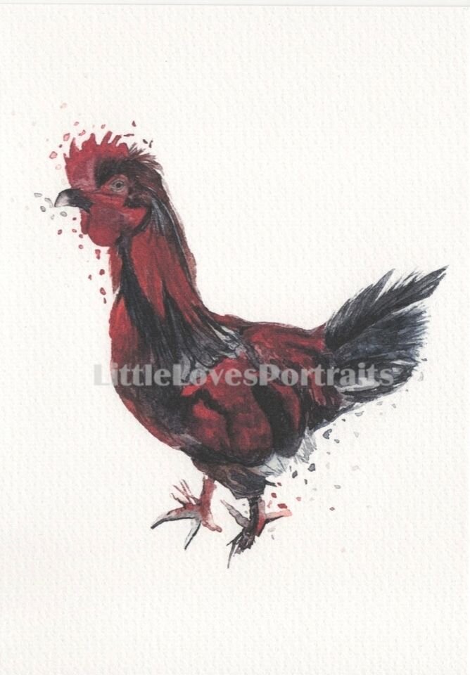 Cockerel Watercolour Print "Charles"