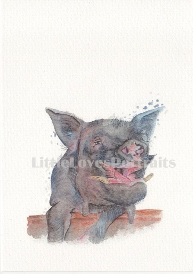 Pig Watercolour Print "Arthur"