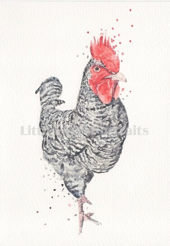 Cockerel Watercolour Print "Frenchie"