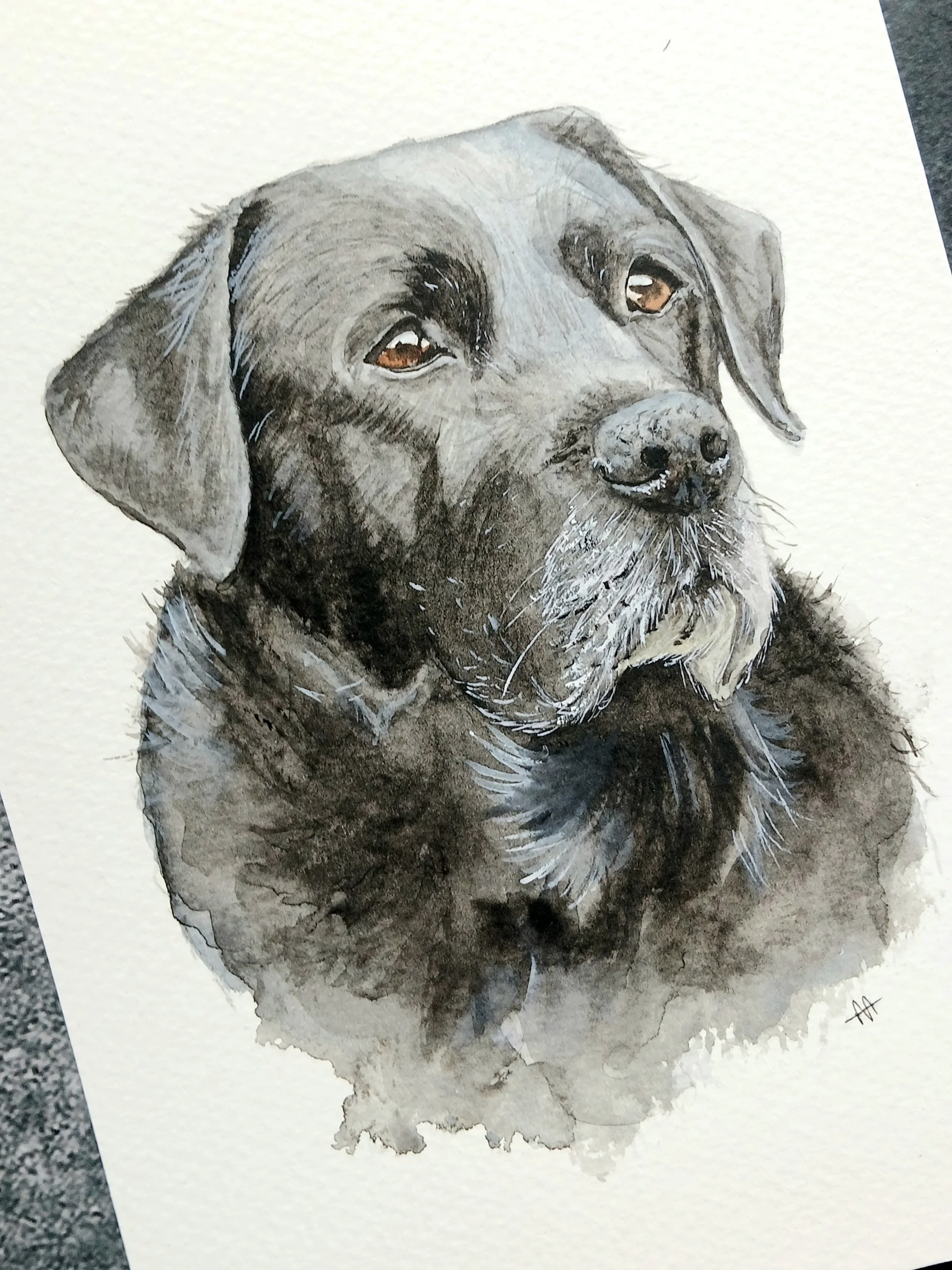 watercolour pet portrait.jpg