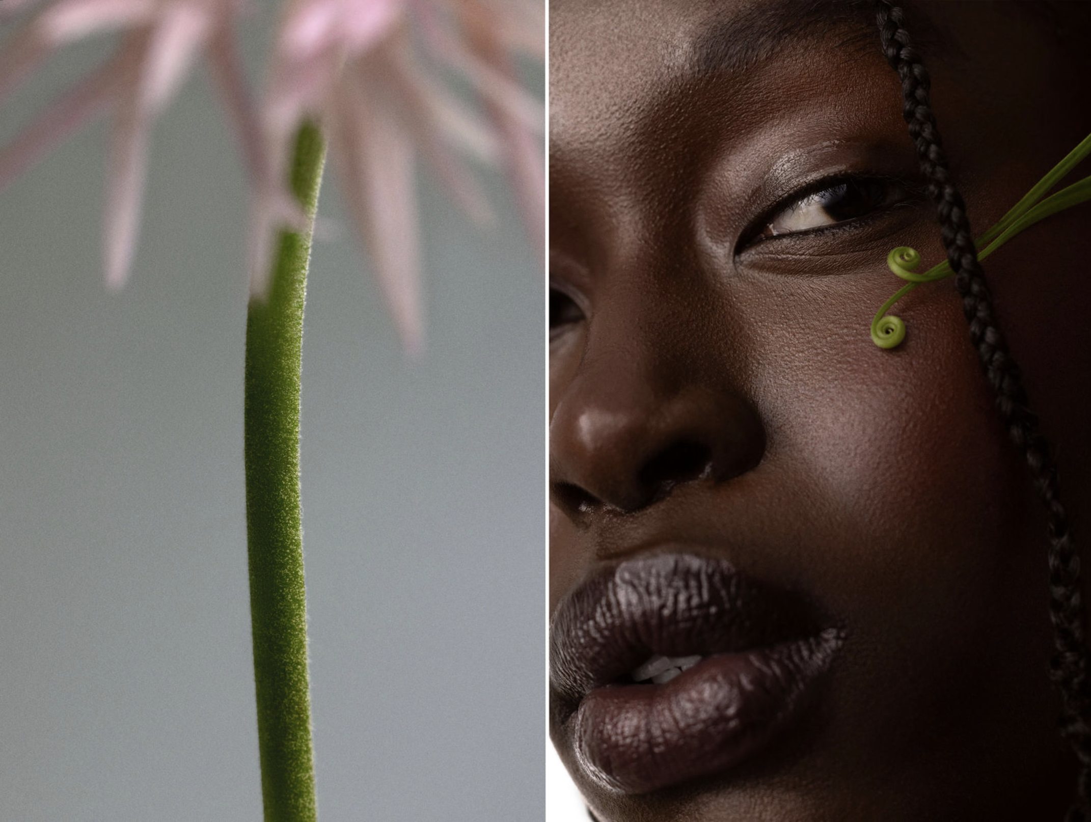 Screenshot 2026-01-02 at 12.30.22 PM.png