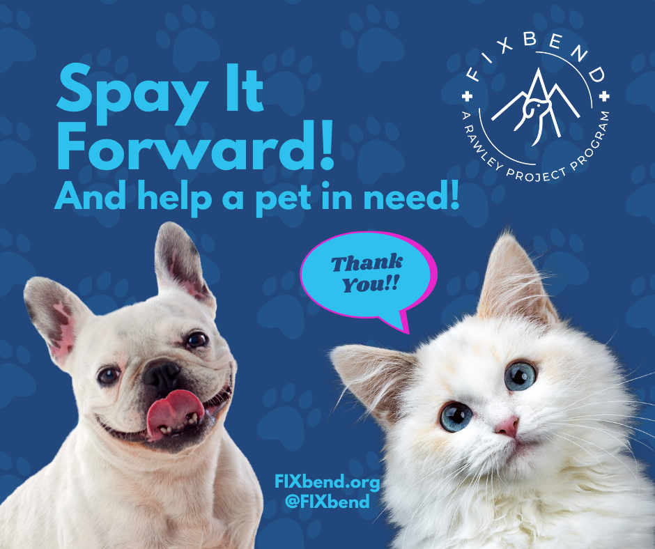 Spay It Forward.png