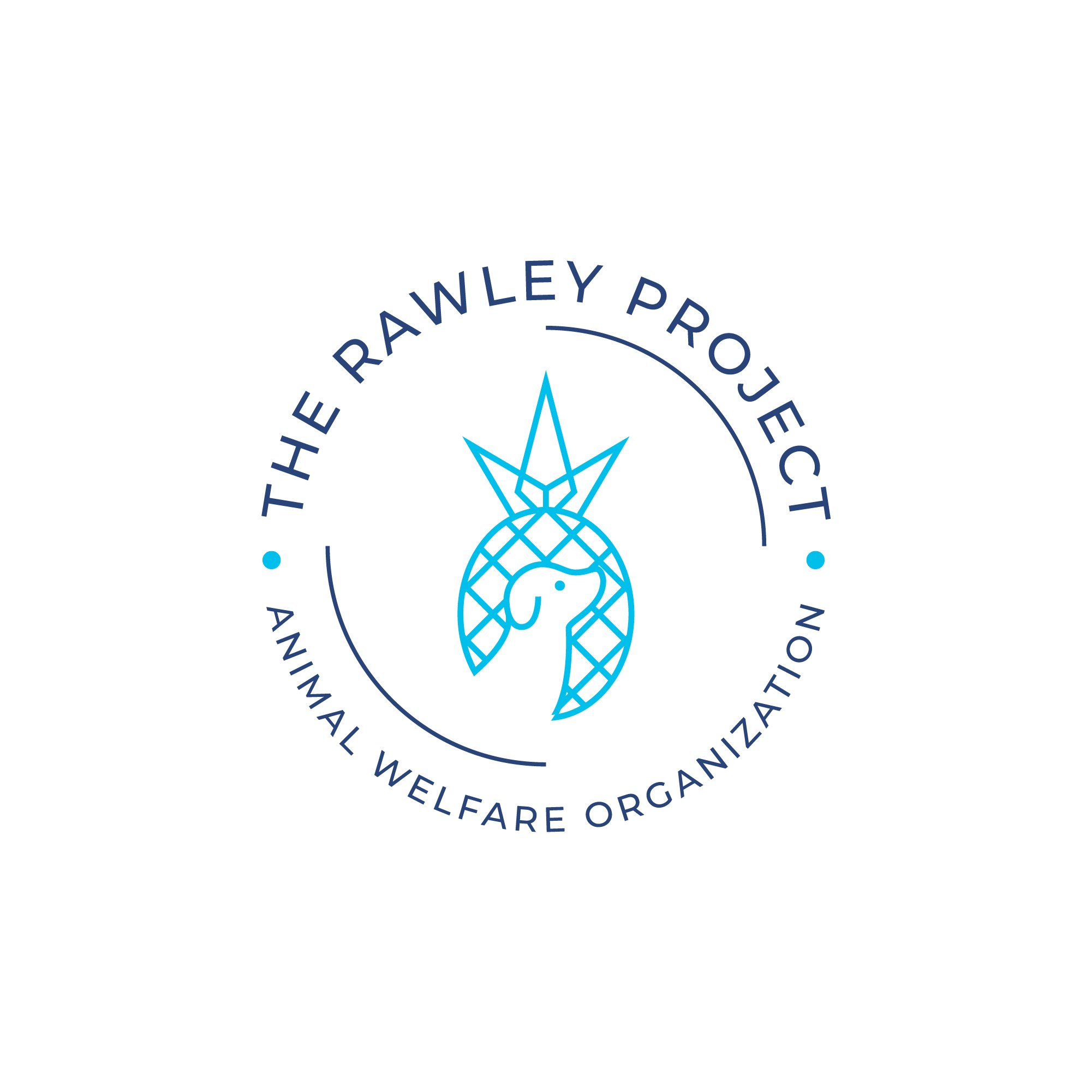The Rawley Project logo A4.jpg