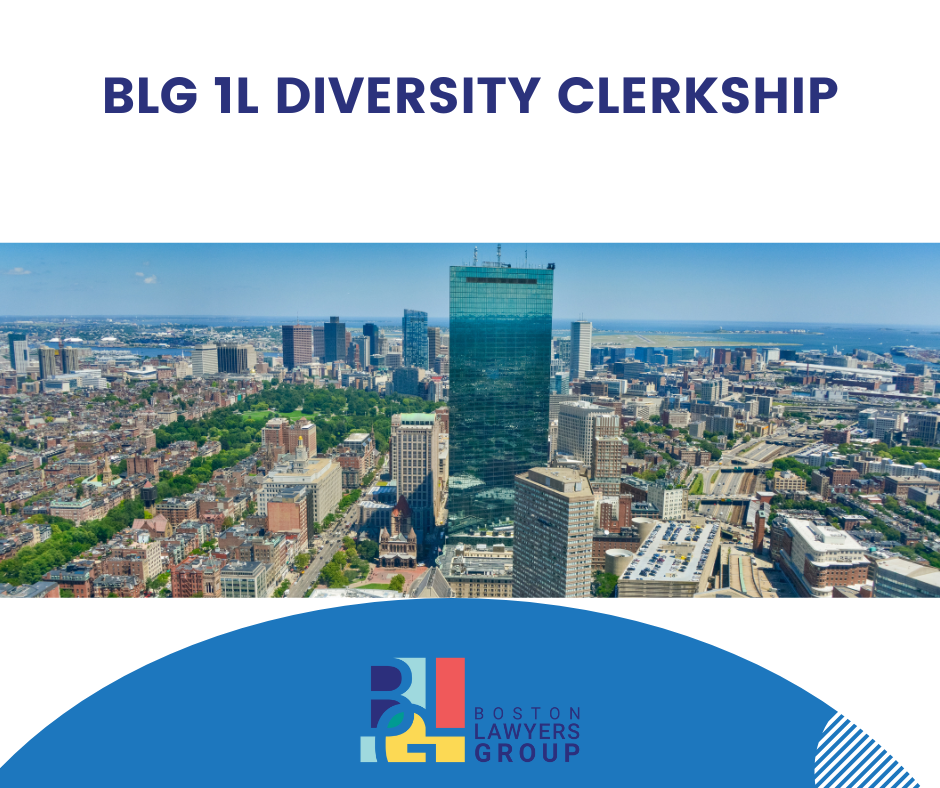 1L Diversity Clerkship
