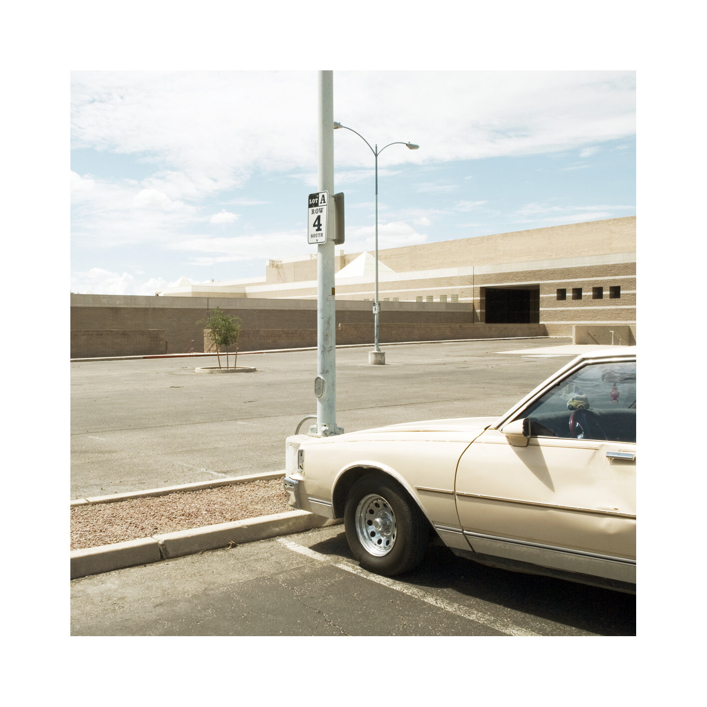 Tucson (AZ)