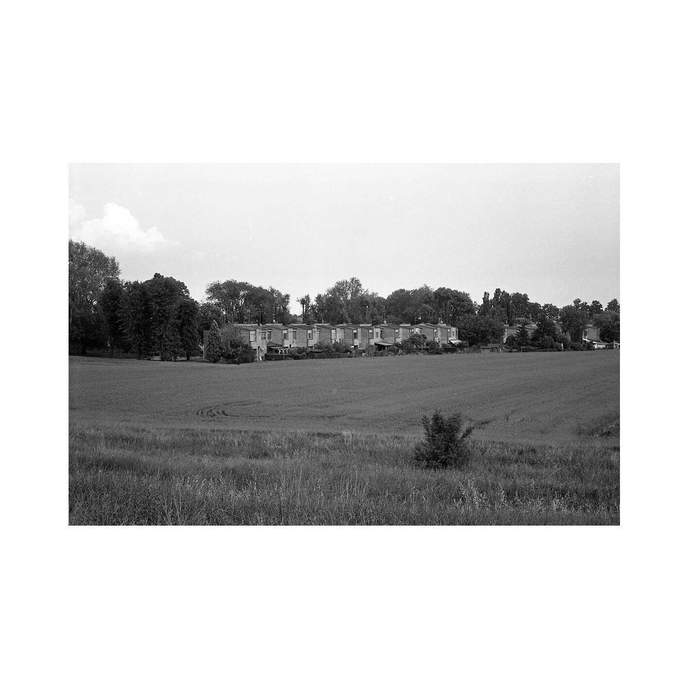 Guarda Ro (FE) (I)