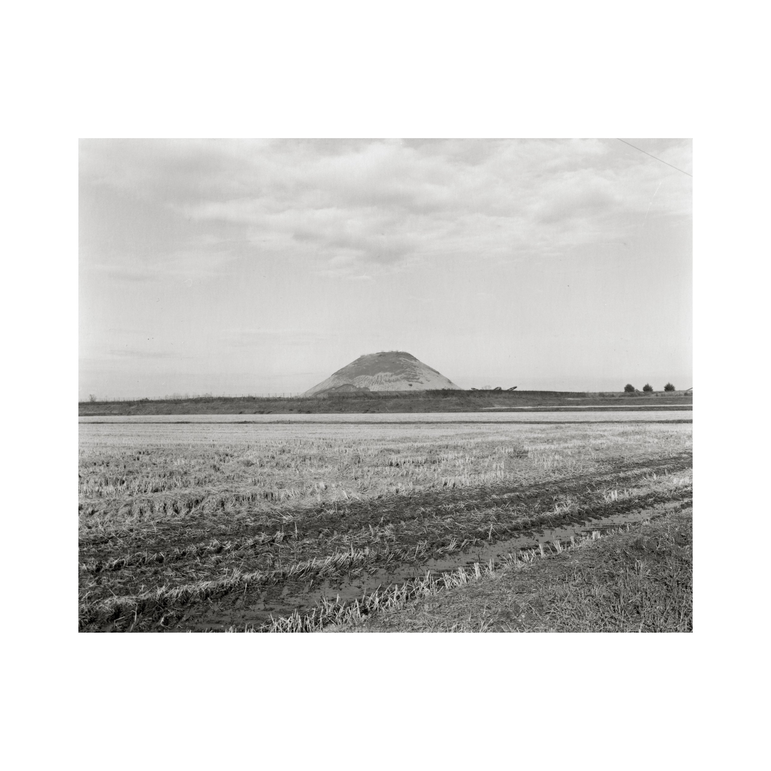 Pieve del Cairo (PV) (I)
