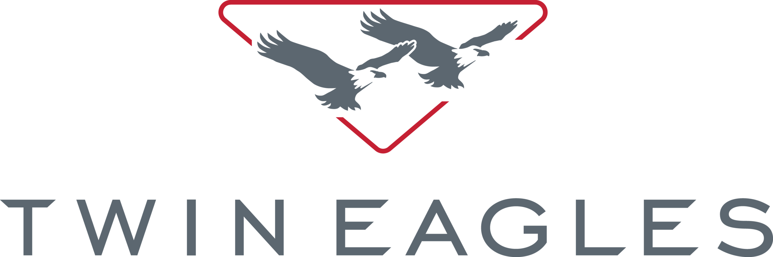 2017_TwinEagles_logo.png