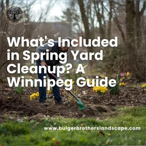what does a spring yard clean up include