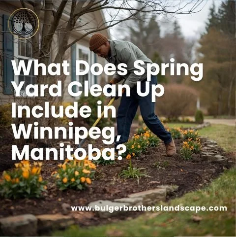 what does spring clean up include