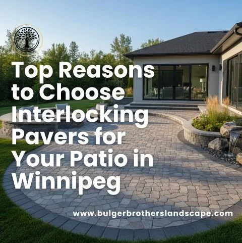 Top Reasons to Choose Interlocking Pavers for Your Patio in Winnipeg
