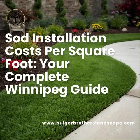 Sod Installation Costs Per Square Foot: Your Complete Winnipeg Guide