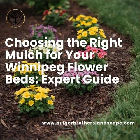 Choosing the Right Mulch for Your Winnipeg Flower Beds: Expert Guide