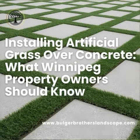 Installing Artificial Grass Over Concrete: What Winnipeg Property Owners Should Know