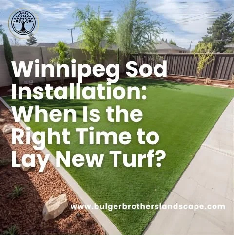 Winnipeg Sod Installation: When Is the Right Time to Lay New Turf?