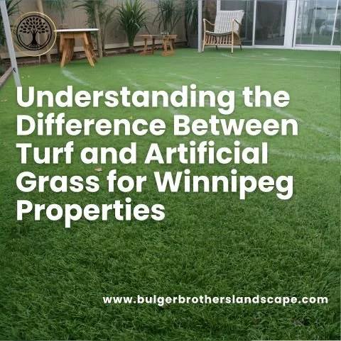 Understanding the Difference Between Turf and Artificial Grass for Winnipeg Properties