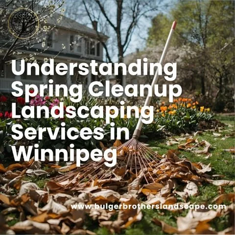 Understanding Spring Cleanup Landscaping Services in Winnipeg