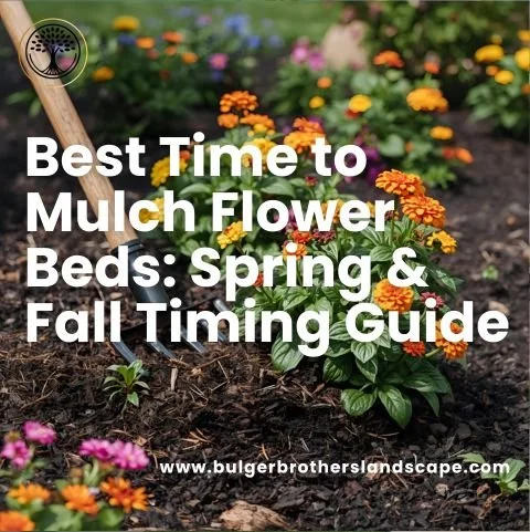 Best Time to Mulch Flower Beds: Spring &amp; Fall Timing Guide
