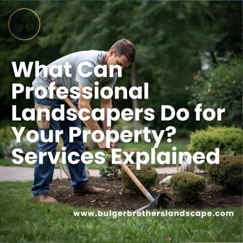 What Can Professional Landscapers Do for Your Property? Services Explained