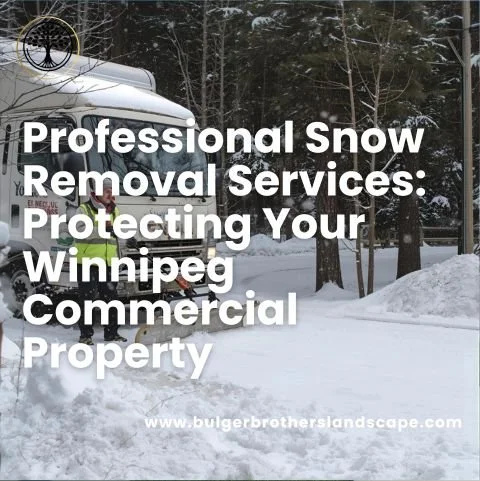 Professional Snow Removal Services: Protecting Your Winnipeg Commercial Property