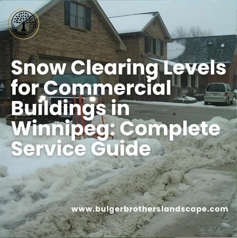 Snow Clearing Levels for Commercial Buildings in Winnipeg: Complete Service Guide