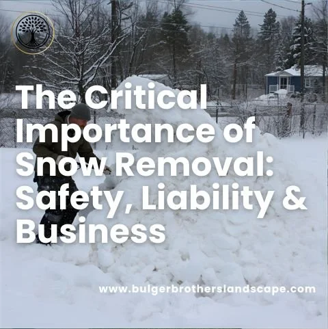 The Critical Importance of Snow Removal: Safety, Liability &amp; Business