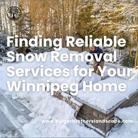 Finding Reliable Snow Removal Services for Your Winnipeg Home